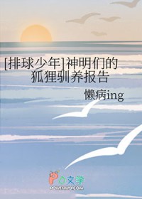 [排球少年] 神明们的狐狸驯养报告