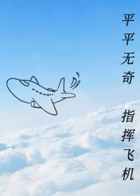 平平无奇,指挥飞机