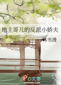 地主哥儿的反派小娇夫