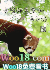 小熊猫先生和A小姐(1v1)