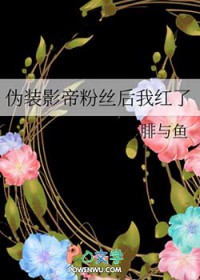 伪装影帝粉丝后我红了