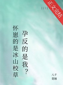 怀崽的是清冷美人,宿敌孕反