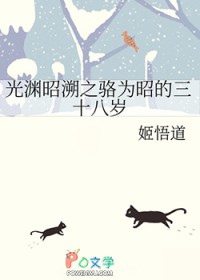 [光渊同人] 光渊昭溯之骆为昭的三十八岁