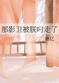 那影卫被朕叼走了