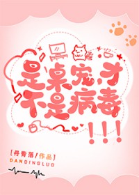 是桌宠,才不是病毒
